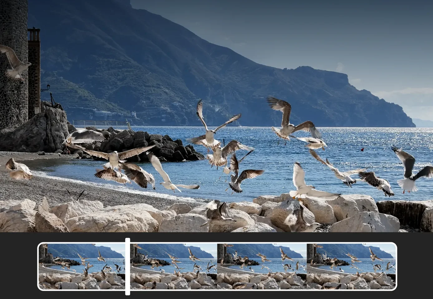 DJI sample image for 4K 240fps slow motion, seagulls flying by the beach